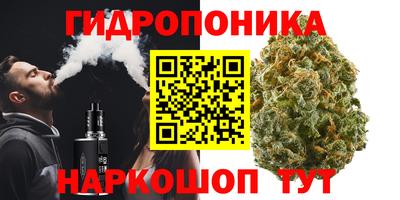 МДПВ Будённовск