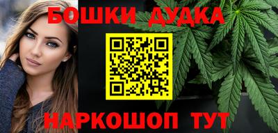 МДПВ Будённовск